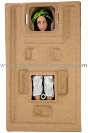 Billie Eilish doll  box insert