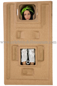 Billie Eilish doll  box insert