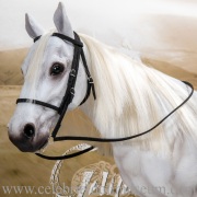 Shadowfax with added bridle