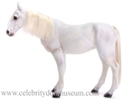 Shadowfax figure