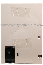 V Prestige doll box insert back