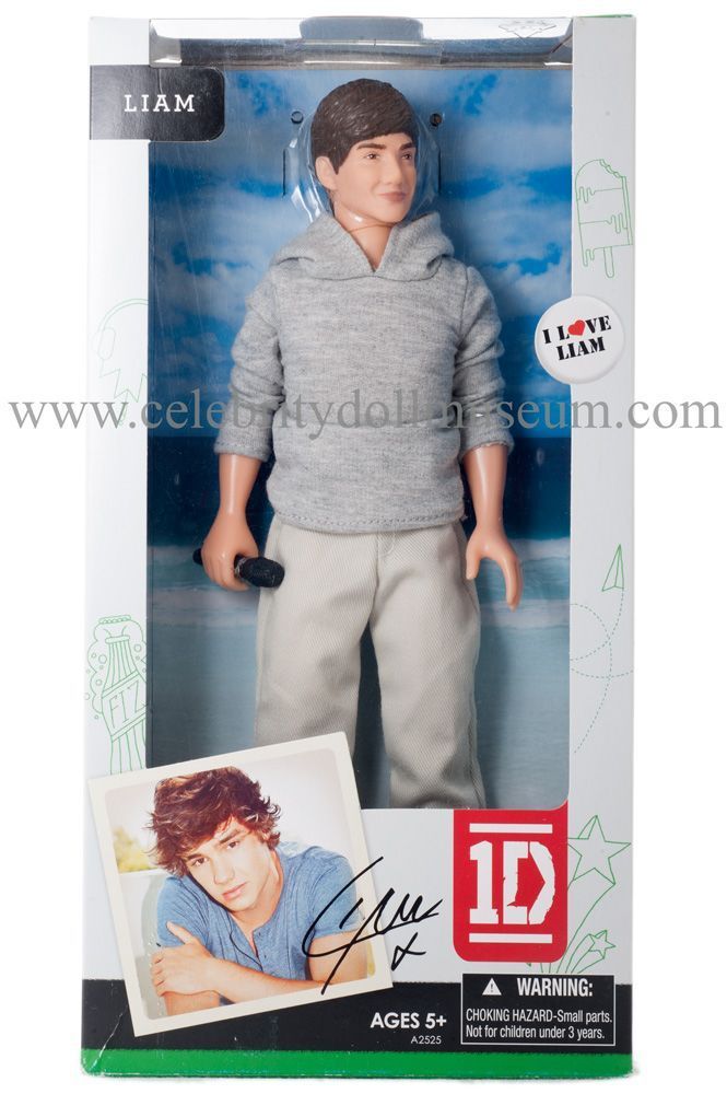 Sealed 2012 Hasbro 1D ONE DIRECTION LIAM with Microphone #A2525 11" tall Doll 