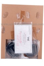 FaithHillTimMcGraw915