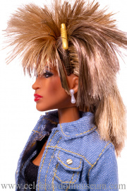 Tina Turner doll