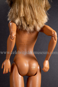 Tina Turner doll